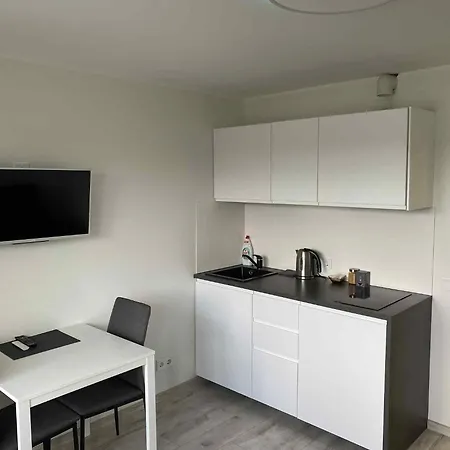 With Balcony Lägenhet Vilnius