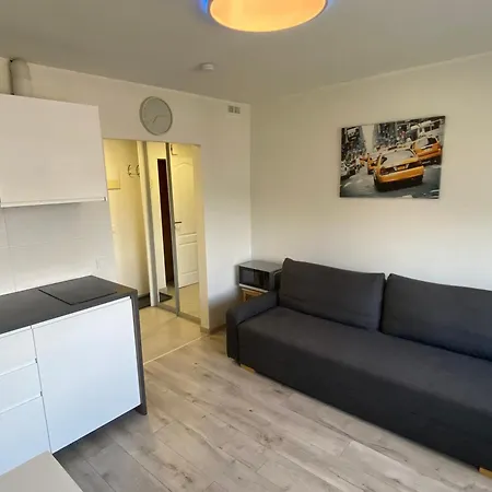 Apartment With Balcony Vilnius