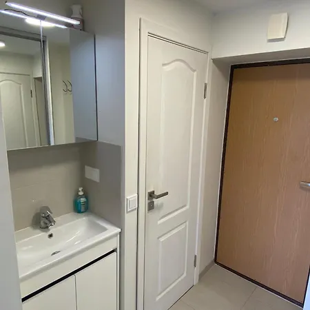 Apartment With Balcony Vilnius