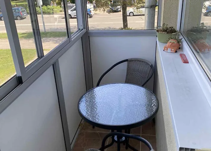 With Balcony アパート ヴィリニュス